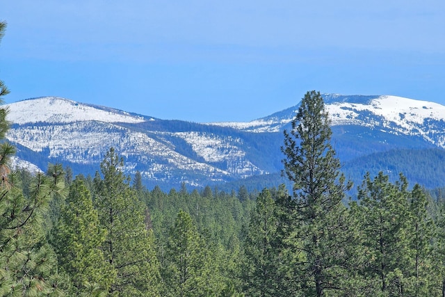1076 Starvation Lake Rd, Colville, WA 99114 - photo 47