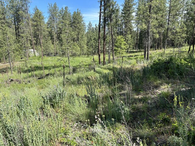 1181-1179 Fumi Cir, Kettle Falls, WA 99141 - photo 2