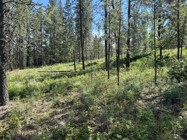 1181-1179 Fumi Cir, Kettle Falls, WA 99141 - photo 3