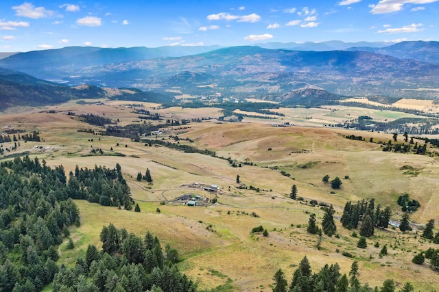 bird's eye view featuring a mountain view
