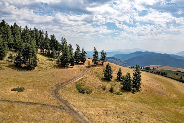 property view of mountains with a rural view