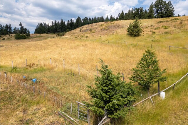 view of local wilderness with a rural view