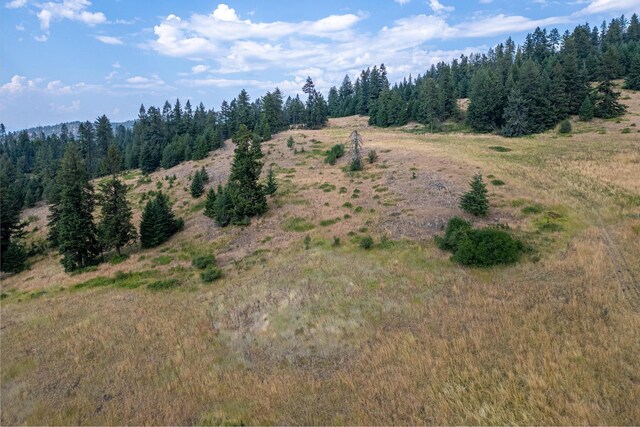 view of local wilderness featuring a view of trees