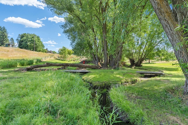 157 Garden Homes Dr, Colville, WA 99114 - photo 43