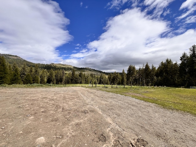 17 Kingsford Pl, Malo, WA 99150 - photo 28