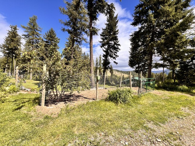 17 Kingsford Pl, Malo, WA 99150 - photo 22