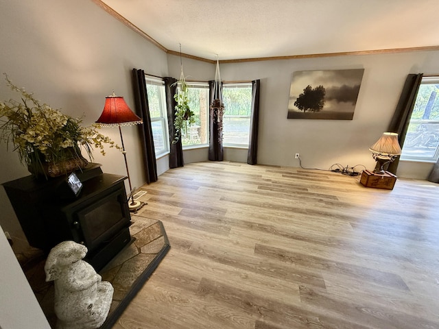 1874 Brooks Rd, Evans, WA 99126 - entrance foyer featuring a wood stove, ornamental molding, and wood finished floors