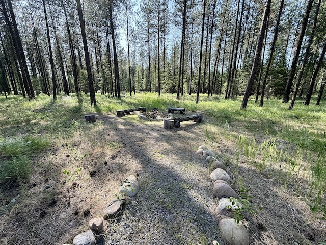 1874 Brooks Rd, Evans, WA 99126 - view of yard