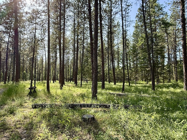 1874 Brooks Rd, Evans, WA 99126 - view of wooded area