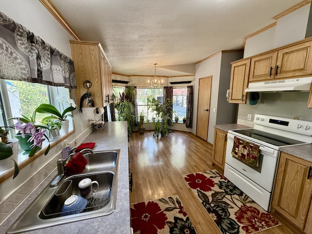 1874 Brooks Rd, Evans, WA 99126 - kitchen featuring white range with electric cooktop, under cabinet range hood, a chandelier, ornamental molding, and light wood finished floors