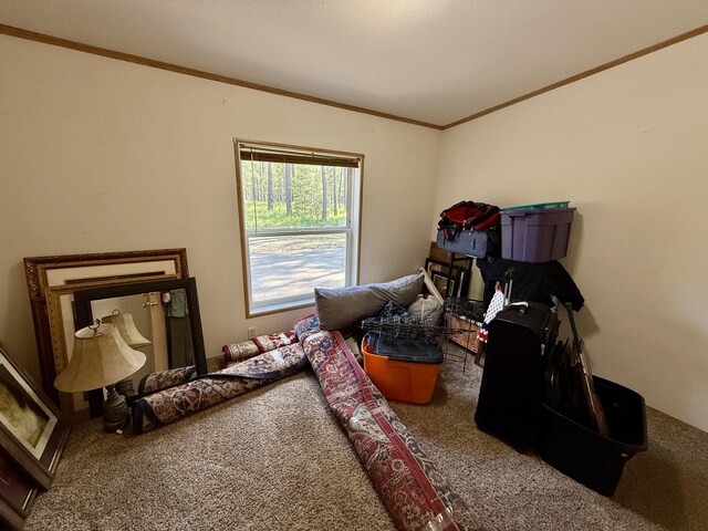 1874 Brooks Rd, Evans, WA 99126 - carpeted bedroom featuring crown molding