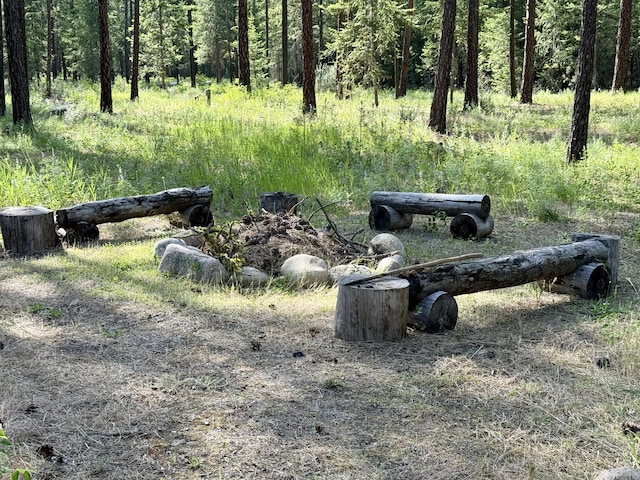 1874 Brooks Rd, Evans, WA 99126 - view of yard with a forest view