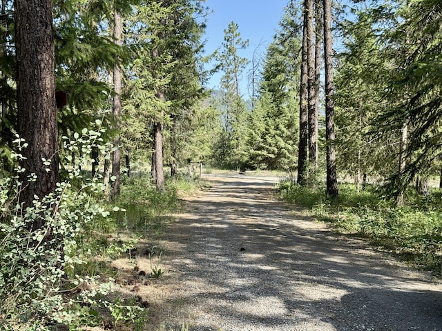 1874 Brooks Rd, Evans, WA 99126 - view of road with a wooded view