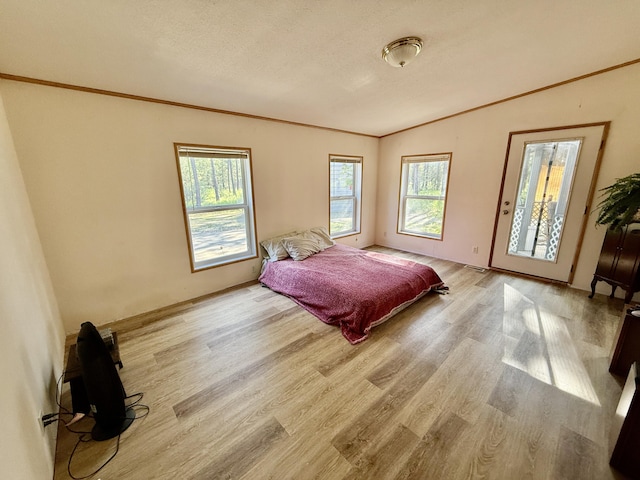 1874 Brooks Rd, Evans, WA 99126 - bedroom featuring wood finished floors, ornamental molding, lofted ceiling, and access to exterior