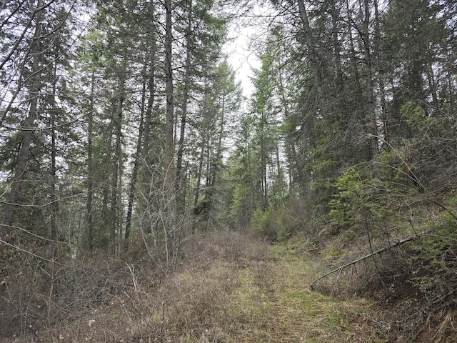 TBD Vanesse Rd, Kettle Falls WA, 99141 land for sale