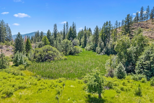 76 Kifer Rd, Kettle Falls, WA 99141 - drone / aerial view of a mountain backdrop