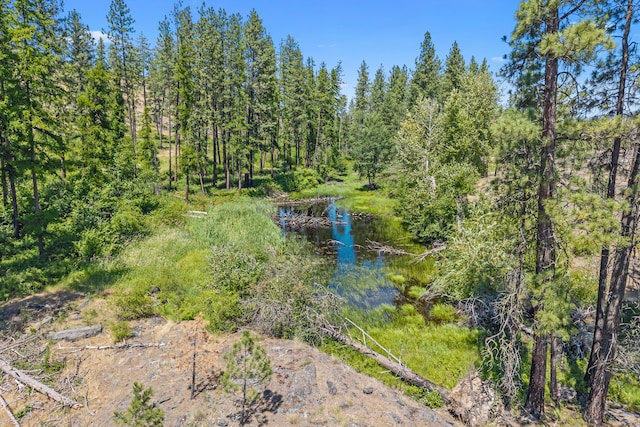 76 Kifer Rd, Kettle Falls, WA 99141 - view of tree filled area featuring a water view