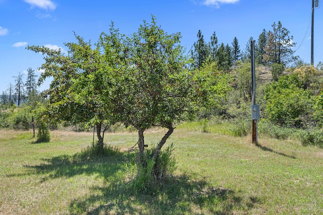76 Kifer Rd, Kettle Falls, WA 99141 - view of yard
