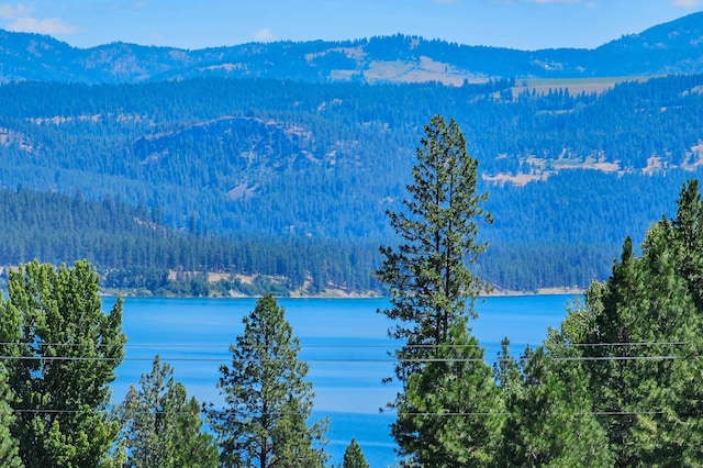 76 Kifer Rd, Kettle Falls, WA 99141 - water view with a heavily wooded area and mountains