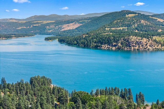 76 Kifer Rd, Kettle Falls, WA 99141 - water view with a mountain backdrop and a forest