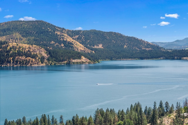 76 Kifer Rd, Kettle Falls, WA 99141 - water view with mountains and a forest