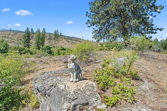 76 Kifer Rd, Kettle Falls, WA 99141 - view of yard