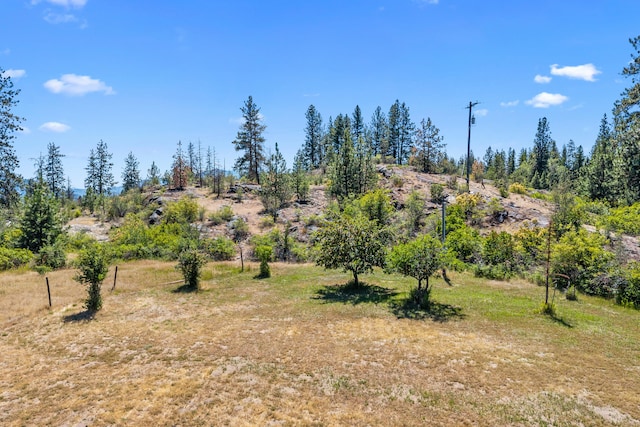 76 Kifer Rd, Kettle Falls, WA 99141 - view of undeveloped land