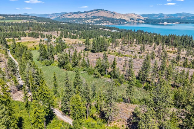 76 Kifer Rd, Kettle Falls, WA 99141 - bird's eye view of a water and mountain view and a forest