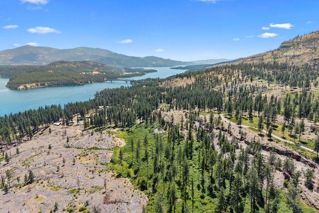 76 Kifer Rd, Kettle Falls, WA 99141 - view of mountain backdrop with a large body of water