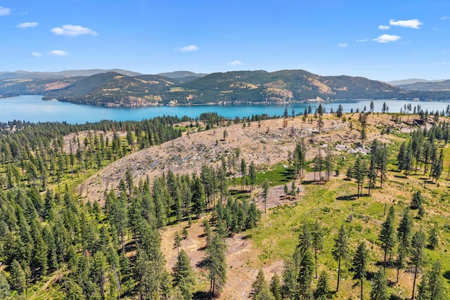 76 Kifer Rd, Kettle Falls, WA 99141 - mountain view with a nearby body of water