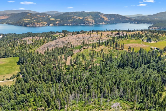 76 Kifer Rd, Kettle Falls, WA 99141 - aerial overview of property's location with a water and mountain view and a forest