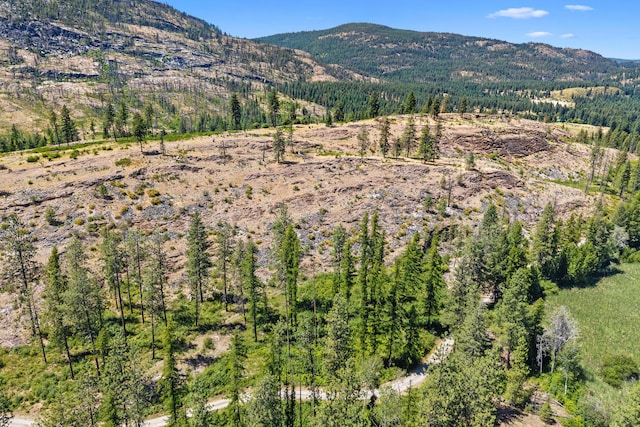 76 Kifer Rd, Kettle Falls, WA 99141 - view of mountain backdrop featuring a heavily wooded area