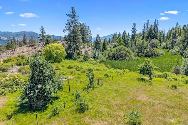 76 Kifer Rd, Kettle Falls, WA 99141 - view of mountain backdrop