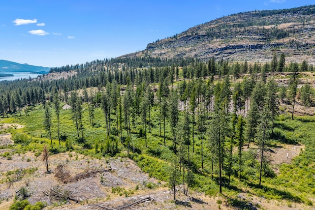 76 Kifer Rd, Kettle Falls, WA 99141 - view of mountain backdrop