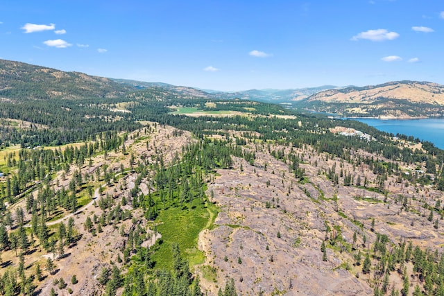 76 Kifer Rd, Kettle Falls, WA 99141 - aerial view of property's location featuring a water and mountain view and a forest