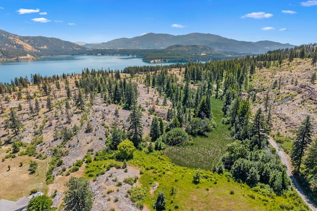 76 Kifer Rd, Kettle Falls, WA 99141 - drone / aerial view of a water and mountain view