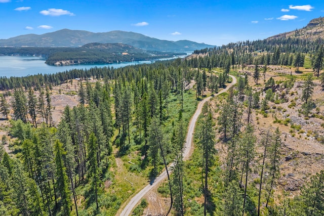 76 Kifer Rd, Kettle Falls, WA 99141 - aerial view of property and surrounding area with a water and mountain view and a forest