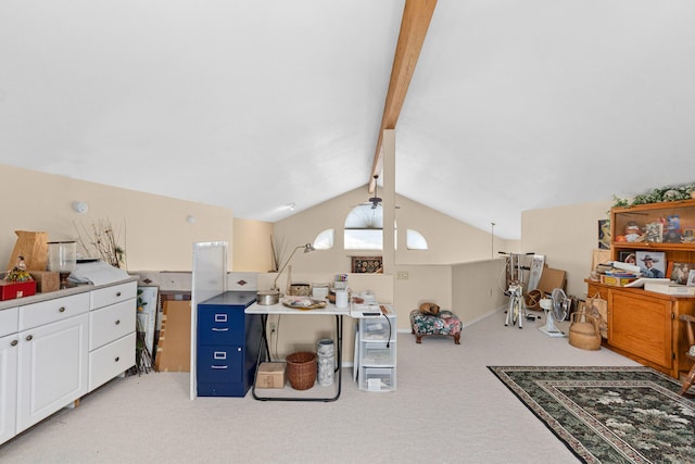 76 Kifer Rd, Kettle Falls, WA 99141 - miscellaneous room with light carpet