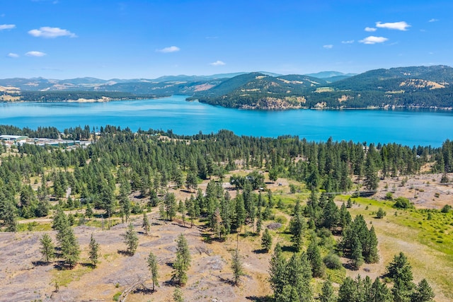 76 Kifer Rd, Kettle Falls, WA 99141 - bird's eye view of a water and mountain view and a heavily wooded area