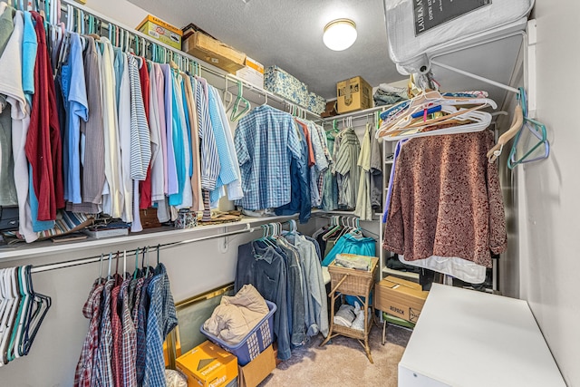 76 Kifer Rd, Kettle Falls, WA 99141 - spacious closet featuring carpet