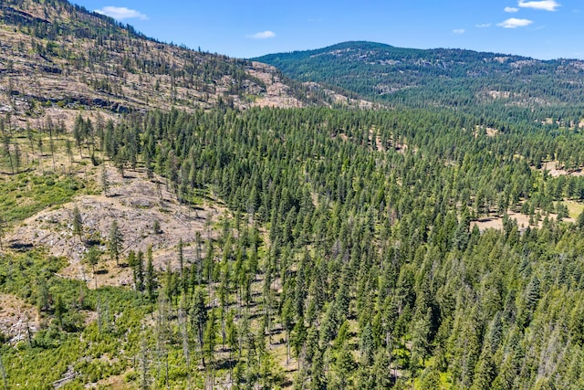 76 Kifer Rd, Kettle Falls, WA 99141 - mountain view with a heavily wooded area