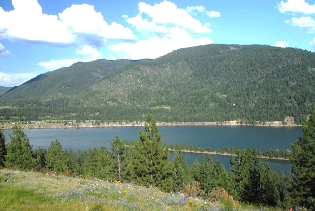 view of mountain feature featuring a view of trees and a water view