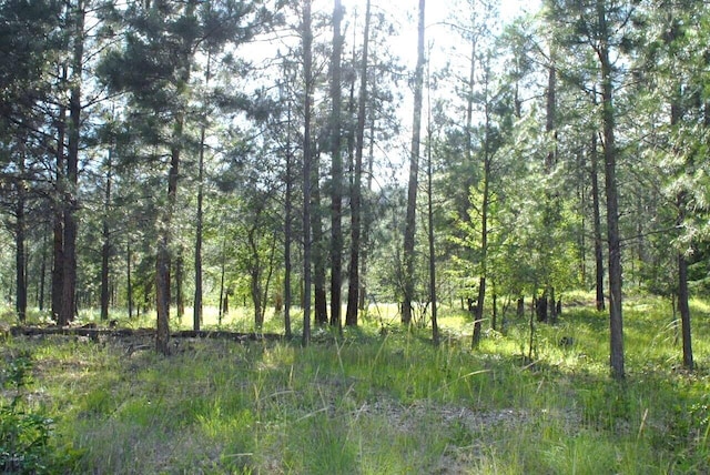 view of landscape featuring a forest view