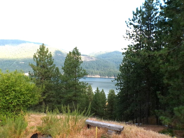 view of water feature with a mountain view