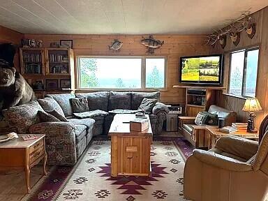 living area with wooden walls and a wealth of natural light