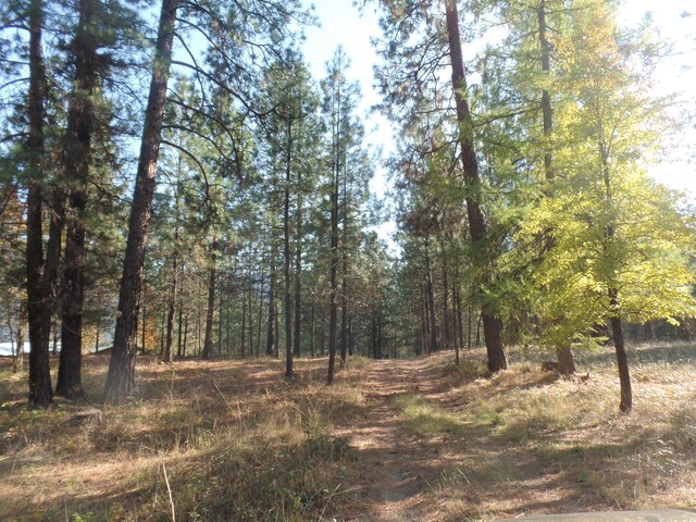 3632 Critter Way, Kettle Falls, WA 99141 - photo 38