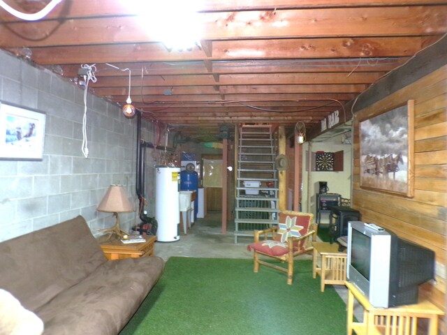 basement with a wood stove and gas water heater