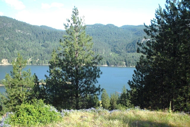 view of water feature featuring a mountain view and a wooded view