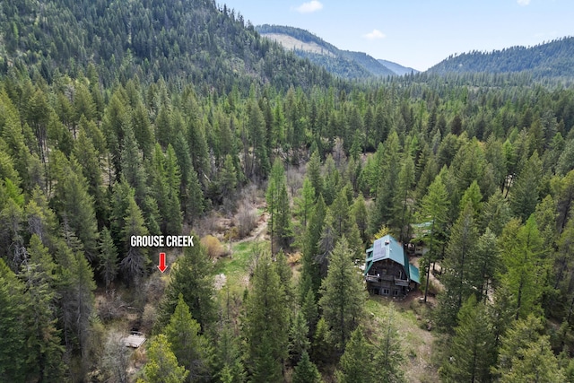 drone / aerial view featuring a mountain view and a wooded view