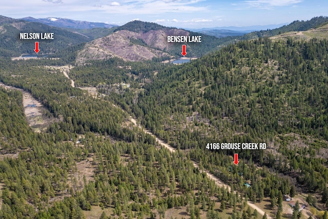 view of mountain feature featuring a view of trees